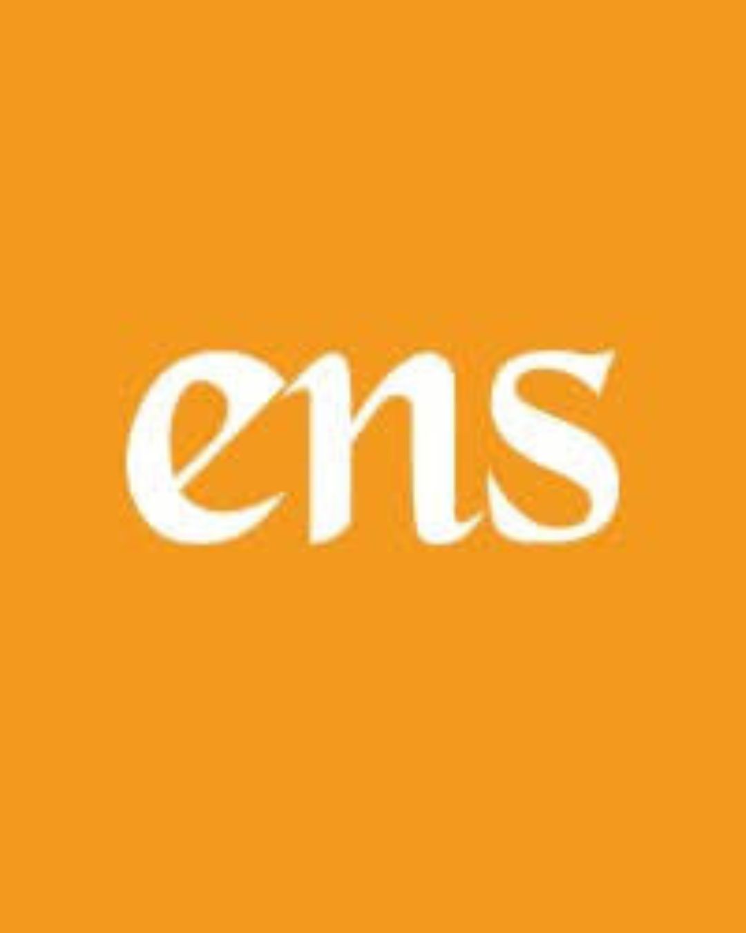 ENS ENTERPRISES logo