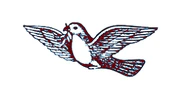 Sri Vishnu Shankar Mill Limited logo